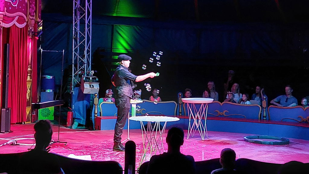 Hunde und Bubble Show