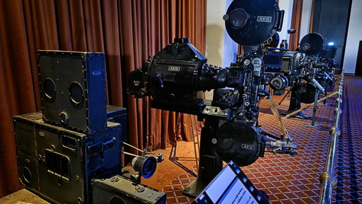 SpongeBob SquarePants 4D - The Great Jelly Rescue!