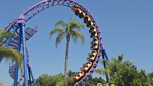 Anaconda (אנקונדה)