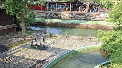 Wildwasserfahrt - Der Wasserwolf am Ilmensee