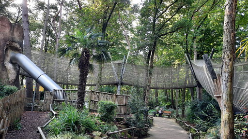 TropicalDanny