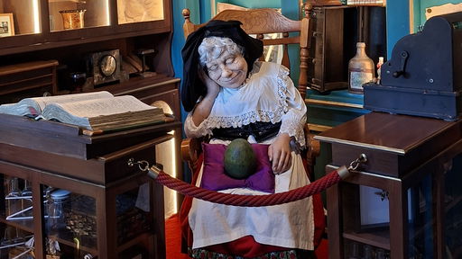 Madame Freudenreich Curiosités