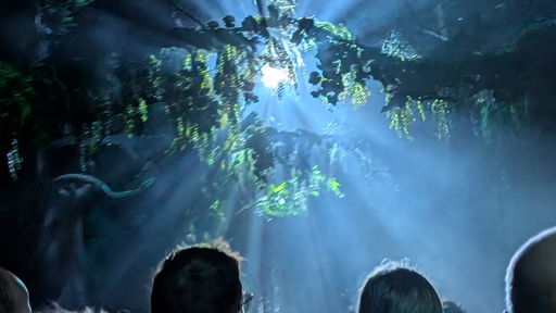 Animal Treasure Island