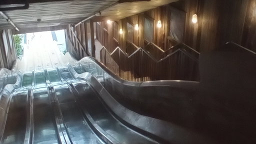 coasterleo