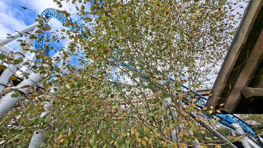 blue fire Megacoaster