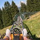 Alpsee Coaster