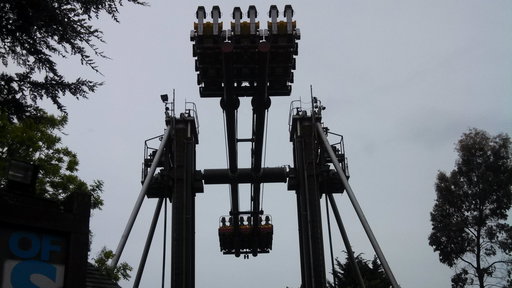 Thrillseeker