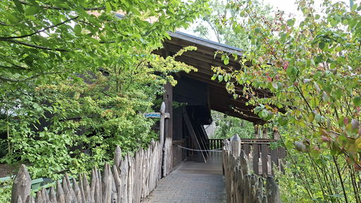 Wildwasserfahrt - Der Wasserwolf am Ilmensee