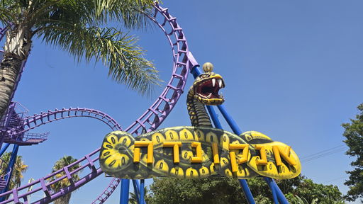 Anaconda (אנקונדה)