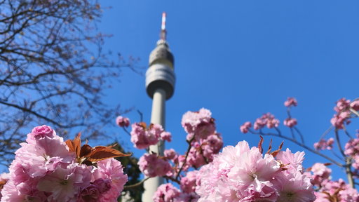 Florianturm