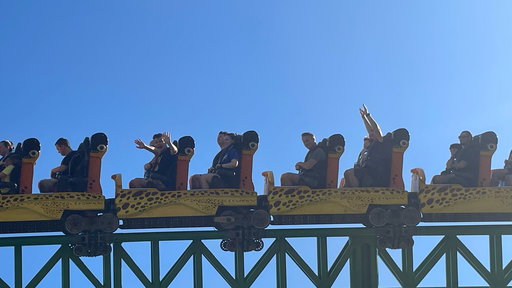 Cheetah Hunt