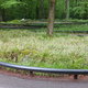 Buckelpisten-Rallye