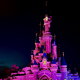 Sleeping Beauty Castle