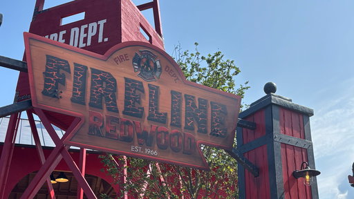 Fireline Redwood