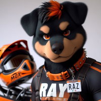 Razy