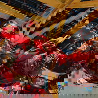 der_kollege_schleich