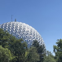 Silasocoastero