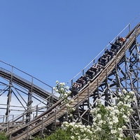 Heidefan2