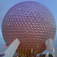 coasterihardlyknowher