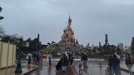 Disneyland Park