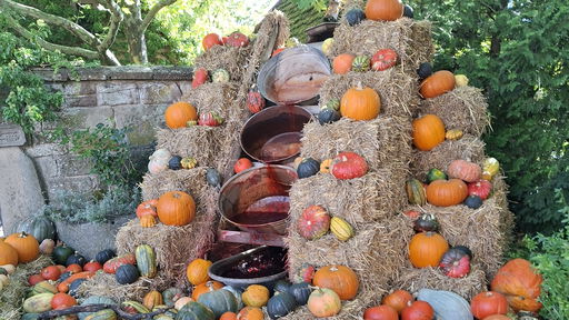 Erlebnispark Tripsdrill