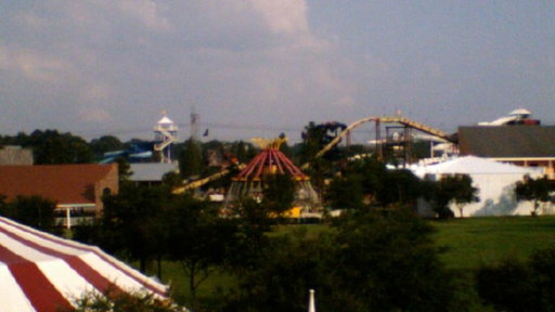 Lionheart1041