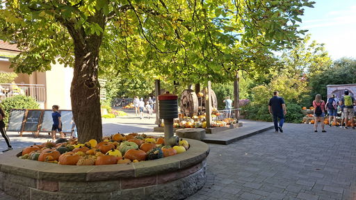 Erlebnispark Tripsdrill