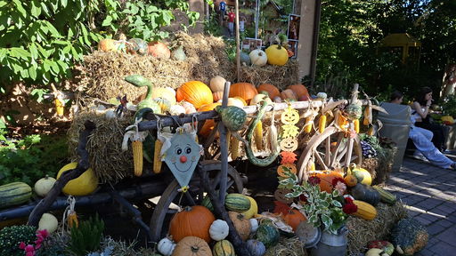 Erlebnispark Tripsdrill