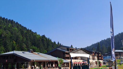 Euro-Schweizer