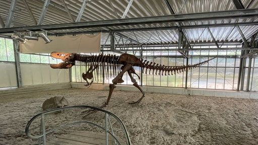 Dinosaurier Park Münchehagen
