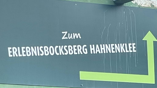 Coastersascha