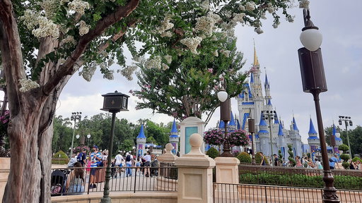 Walt Disney World - Magic Kingdom Park