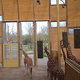 Diergaarde Blijdorp