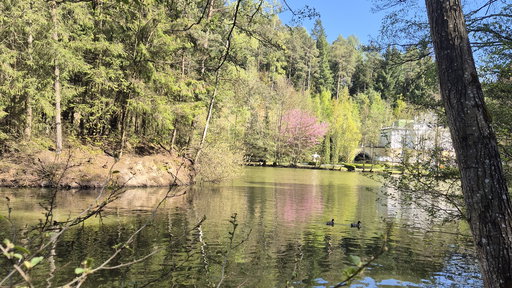 Bayern-Park