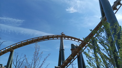 Erlebnispark Tripsdrill