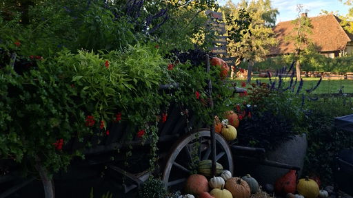 Erlebnispark Tripsdrill