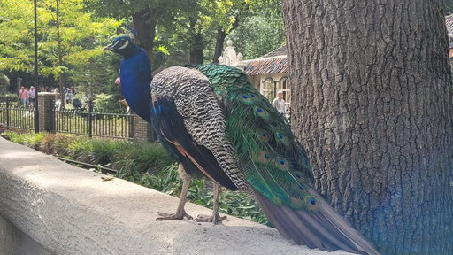 Efteling