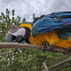 Vogelpark Heiligenkirchen